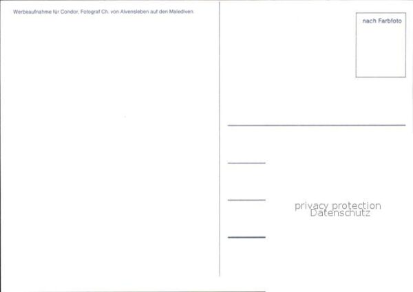 Werbung Reklame Condor Muschel Malediven – Bild 2