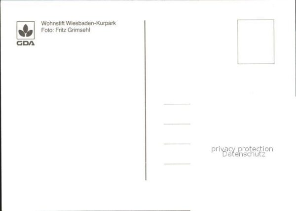 Blumen Margeriten Wohnstift Wiesbaden-Kurpark – Bild 2