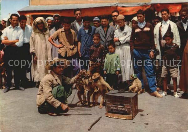 Affen Maroc Dresseur de singes