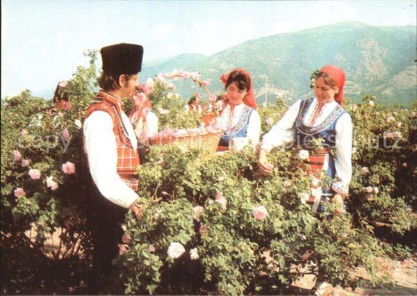 Trachten Bulgarien Karlovo Rosenernte