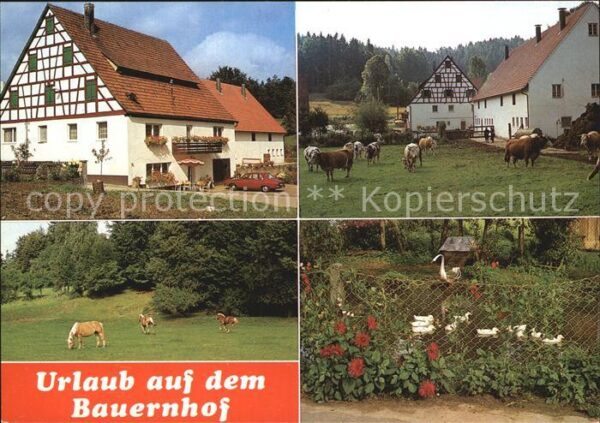 Velden Mittelfranken Urlaub auf dem Bauernhof