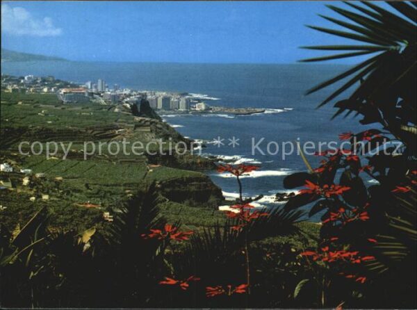 Tenerife Küstenpanorama