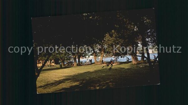 Tahoe City Park