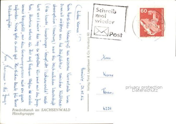 Friedrichsruh Aumuehle Sachsenwald Hirschgruppe – Bild 2