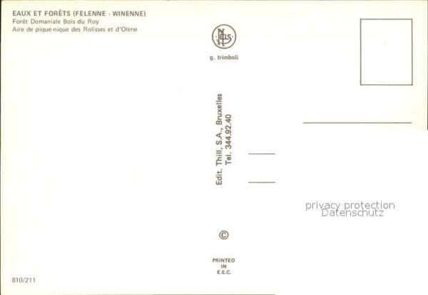 Felenne Namur Foret Domaniale Bois du Roy – Bild 2