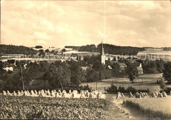 Baerenwalde