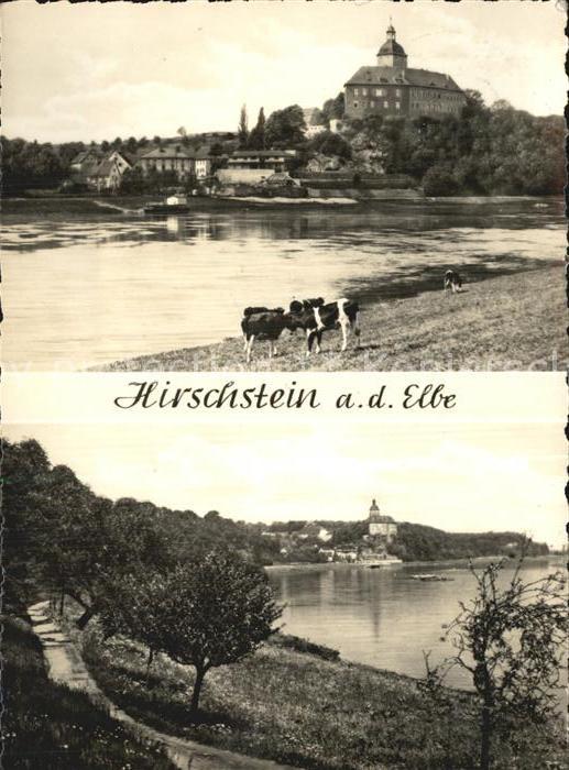 Hirschstein Elbe Riesa Elbpartien