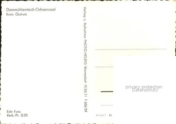 Ochsensaal Dammühlenteich – Bild 2