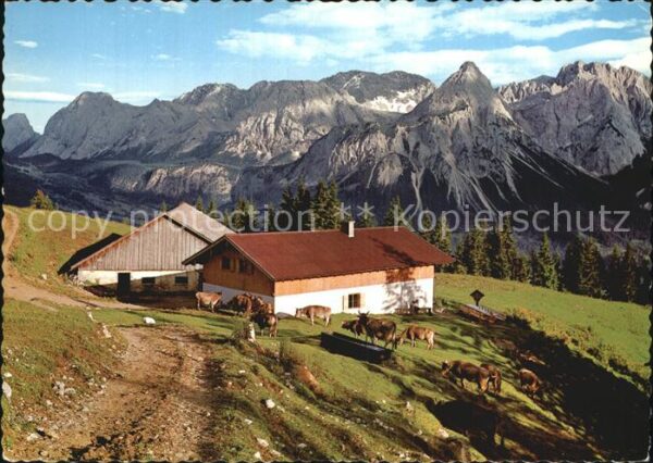 Lermoos Tirol Duftlalm mit Mieminger Gebirge
