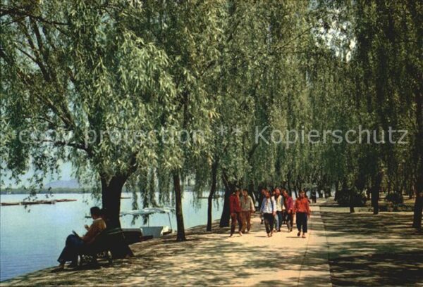 Hangzhou Park of Orioles Singing in the Willows