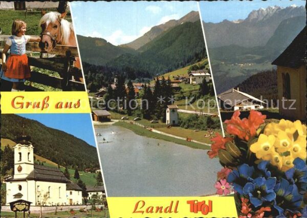 Landl Thiersee Haflinger Badesee