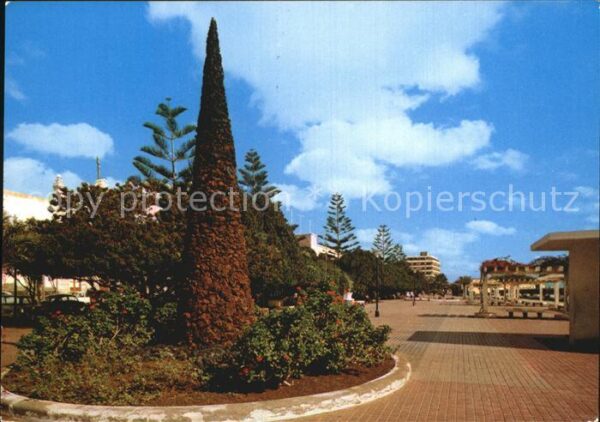Arrecife Parque Municipale