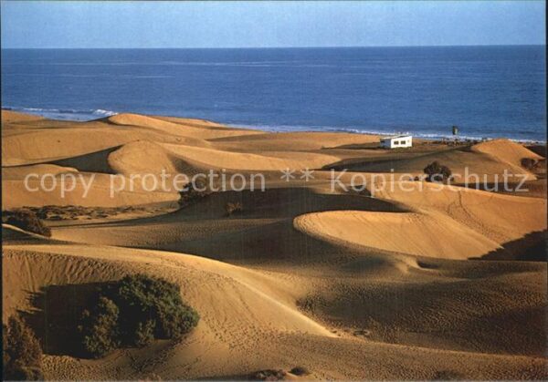 Playa del Ingles Dünen
