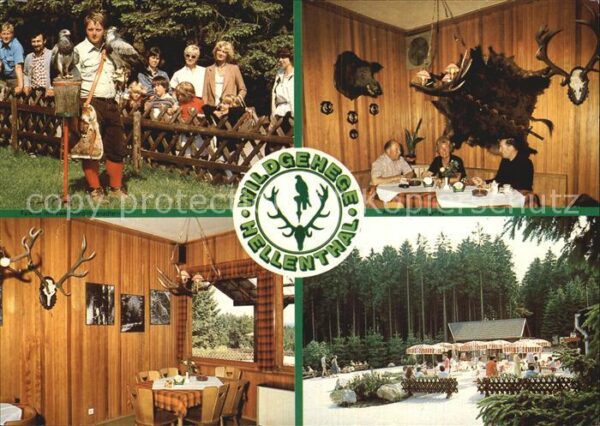 Olef Wildgehege Hellenthal am Olefsee Restau