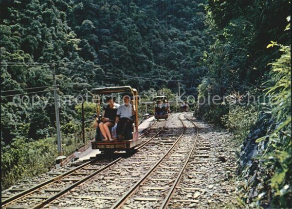 Wu Lai Pushcar Rider