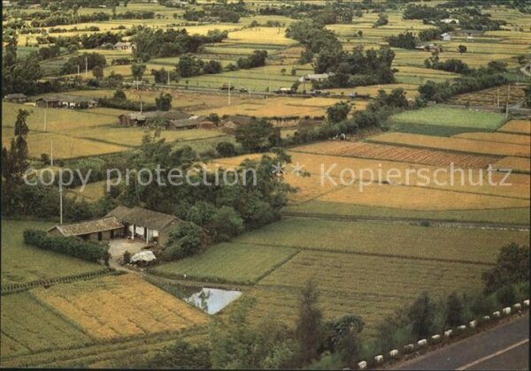 Taiwan Fliegeraufnahme Rice Paddies