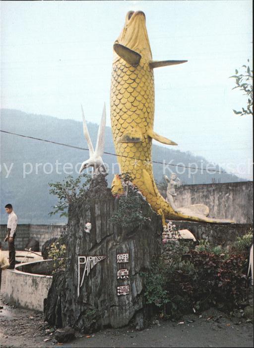 Taiwan Carp Lake Fischskulptur