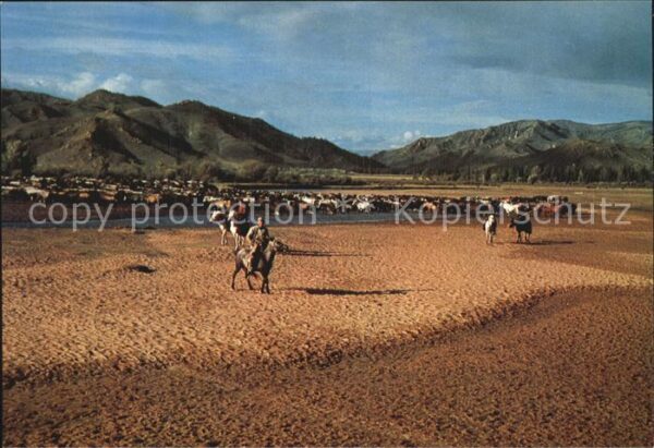 Mongolei Horsemen Tsetserling Somon
