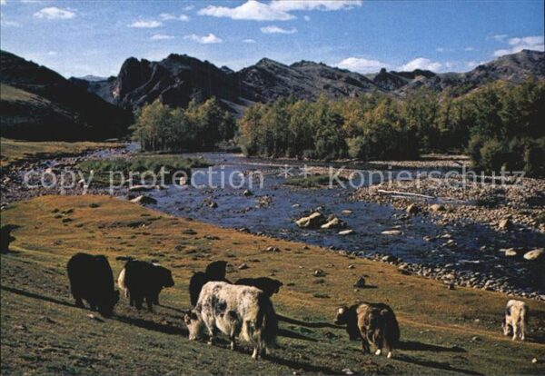Mongolei Bogdyn Gol River Zabhan Aimak