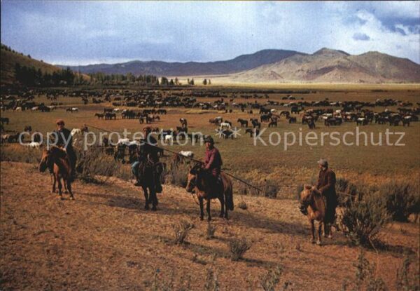 Mongolei Herdsmen with Lasso