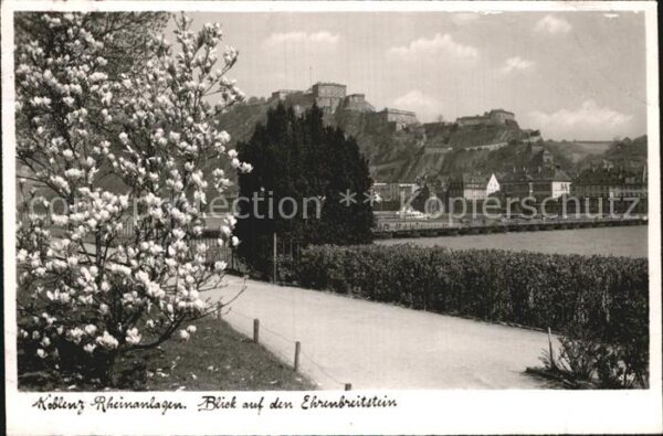 Koblenz Rhein Rheinanlagen Blick zum Ehrenbreitstein