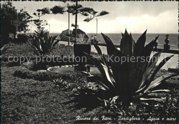 Bordighera Blumenriviera Agave Meer
