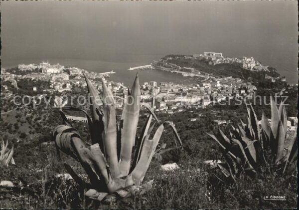 Monaco Panorama