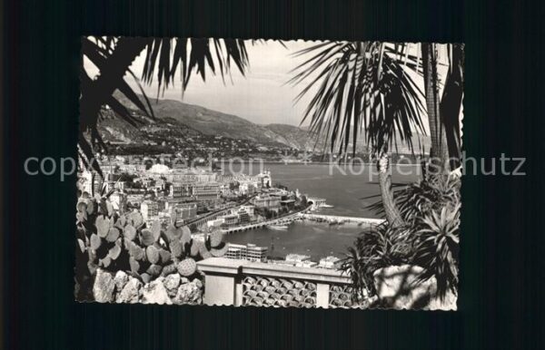 Monte-Carlo Panorama