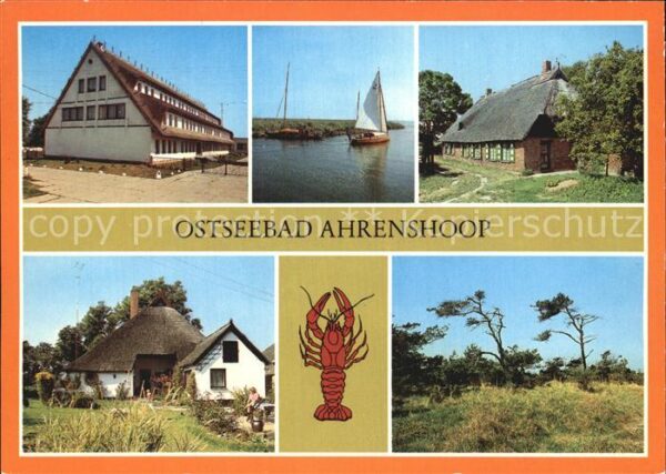 Ahrenshoop Ostseebad Althagen Hafen Niehaben Rohrdachhaus Wi