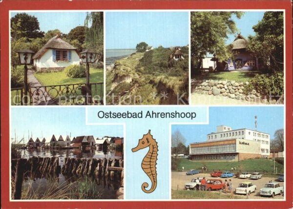 Ahrenshoop Ostseebad Häuschen am Boddendeich Hohes Ufer Kuns