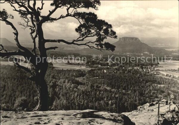 Gohrisch Blick vom Papststein Lilienstein
