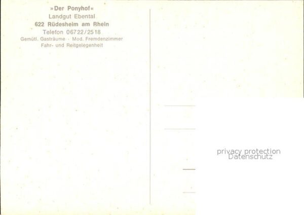 Ruedesheim Rhein Landgut Ebental Ponyhof – Bild 2