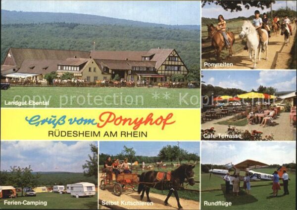 Ruedesheim Rhein Landgut Ebental Ponyreiten Ferien Campi