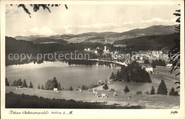 Titisee Panorama