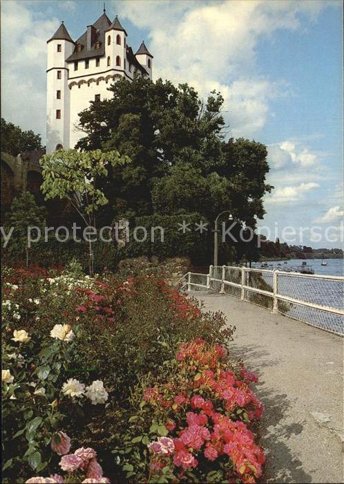 Eltville Rhein Kurfürstliche Burg