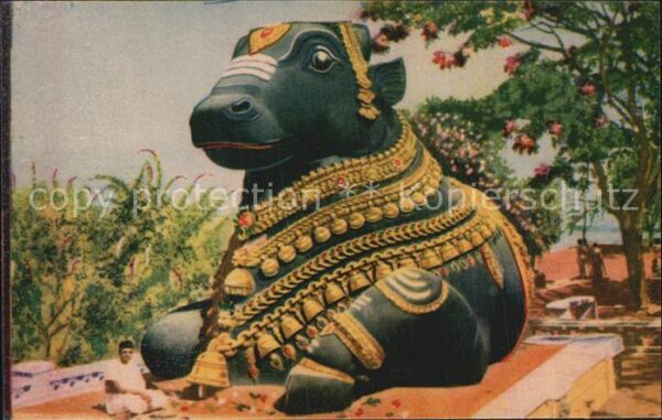Mysore bull on Chamundi Hill
