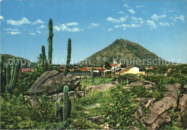 Aruba Hooiberg