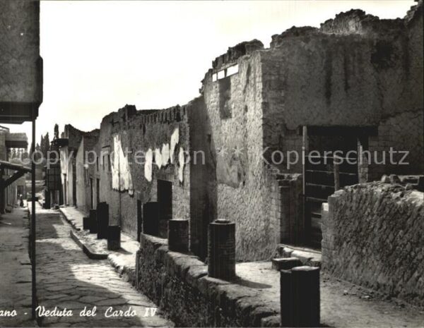 Ercolano Cardo IV