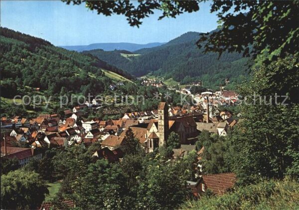 Alpirsbach Panorama