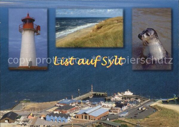 Sylt Leuchtturm Seehund