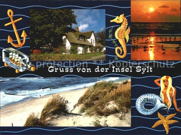 Sylt Düne Friesenhaus