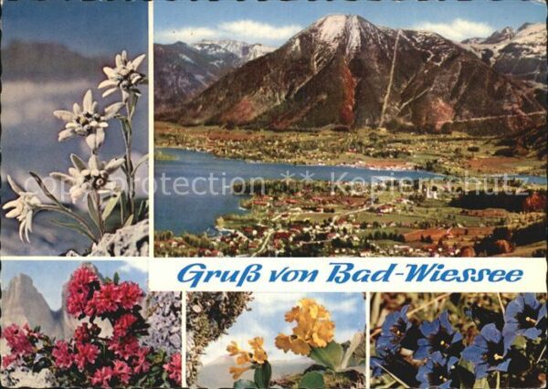 Bad Wiessee Blumen