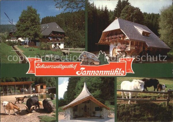 Grafenhausen Schwarzwald Schwarzwaldgasthof Tannenmühle