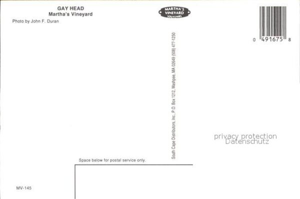 Vineyard Haven Fliegeraufnahme Gay Head – Bild 2