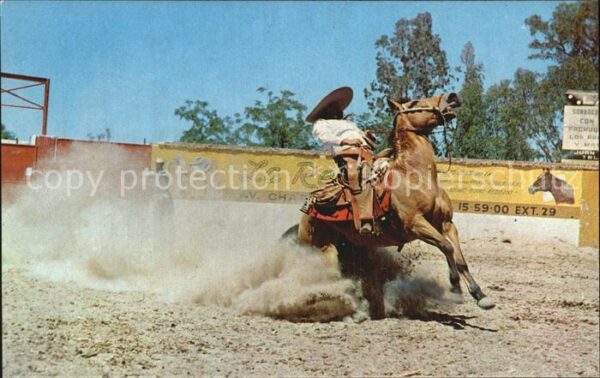 Pferdesport Pferderennen Reitsport Mexico