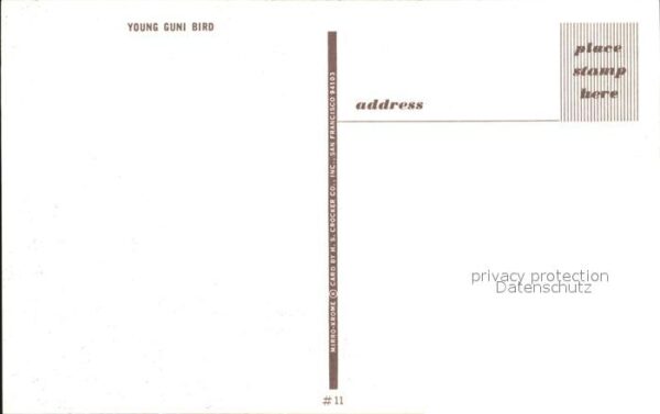 Voegel Young Guni Bird – Bild 2