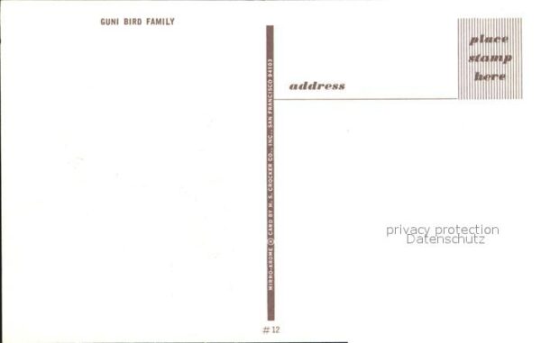 Voegel Guni Bird Family – Bild 2