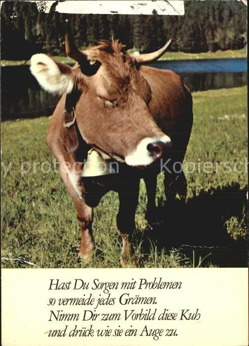 Kuehe Gedicht