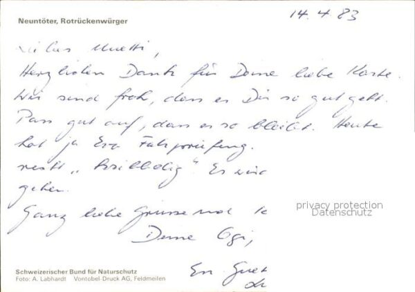 Voegel Neuntöter Rotrückenwürger – Bild 2