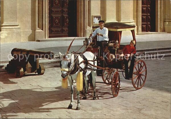 Pferdekutschen Maltese Karozzin